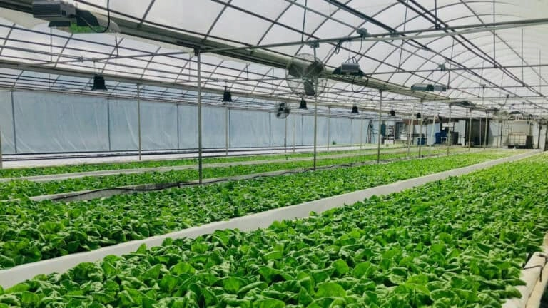 Příklady použití Robustel LG3120e