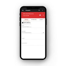 SECTRON CLOUD subscription for 1 month (own SIM)