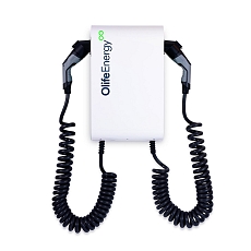 Olife Energy DoubleBox AC 22kW - BASE - 2 twist cables Type 2, 4m