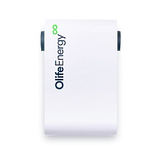 Olife Energy DoubleBox AC 22kW - SMART - 2 sockets
