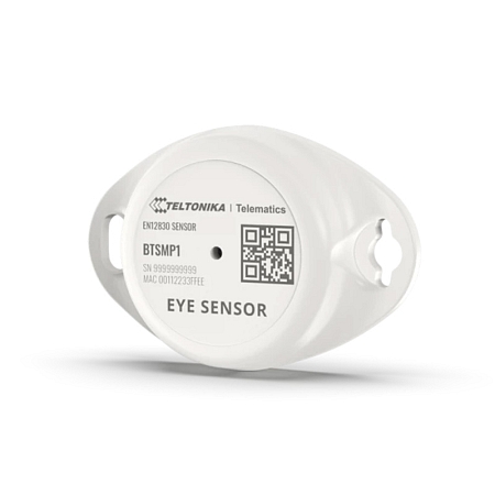 Teltonika Eye Sensor EN12830 - BTSMP183CB02